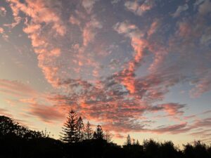 Roughton Park, Coolangatta, Queensland, AUS